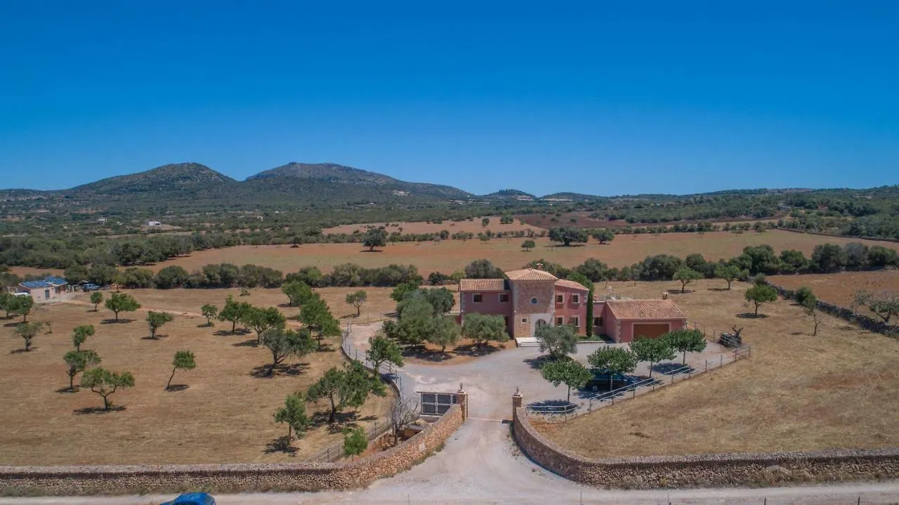 Manacor-289865 Villa Manacor (Mallorca)