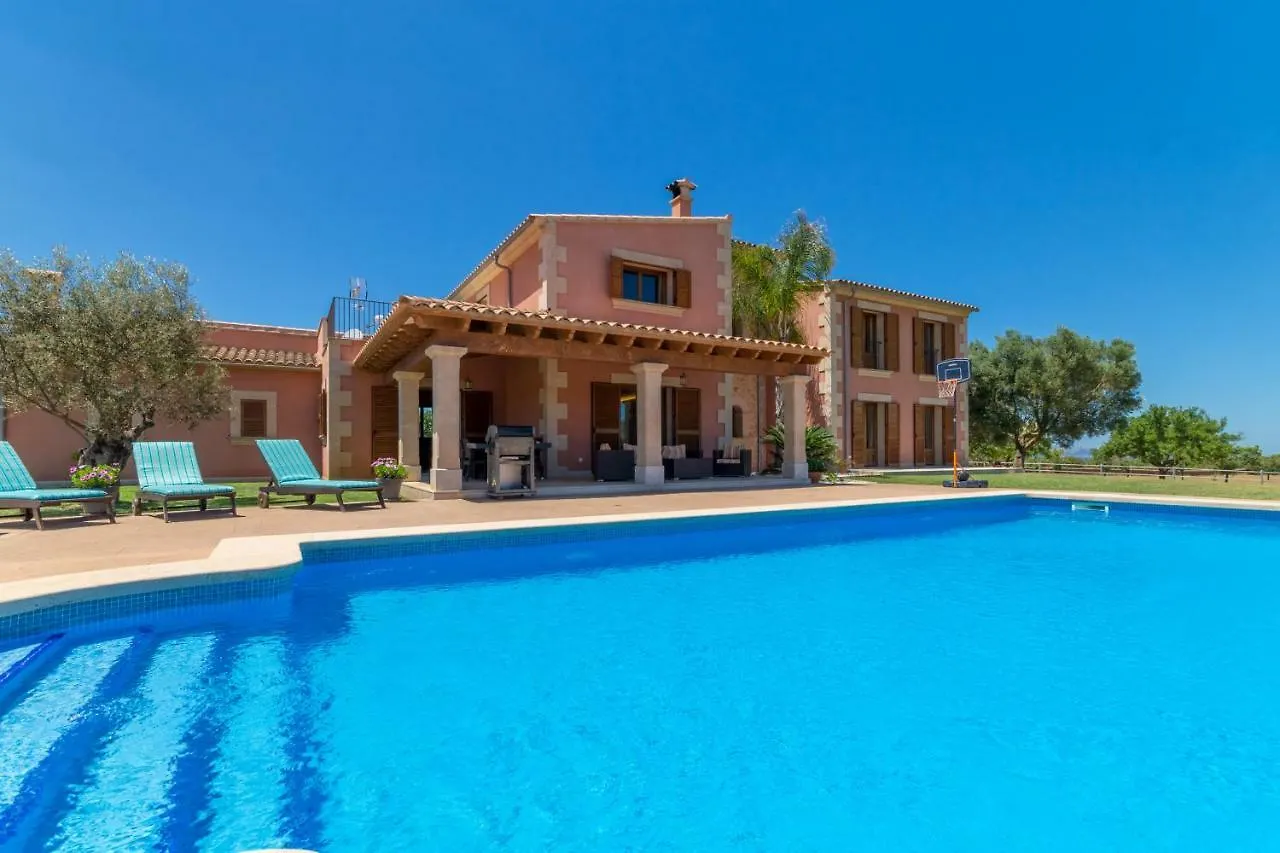 Manacor-289865 Villa Holiday home Manacor (Mallorca)