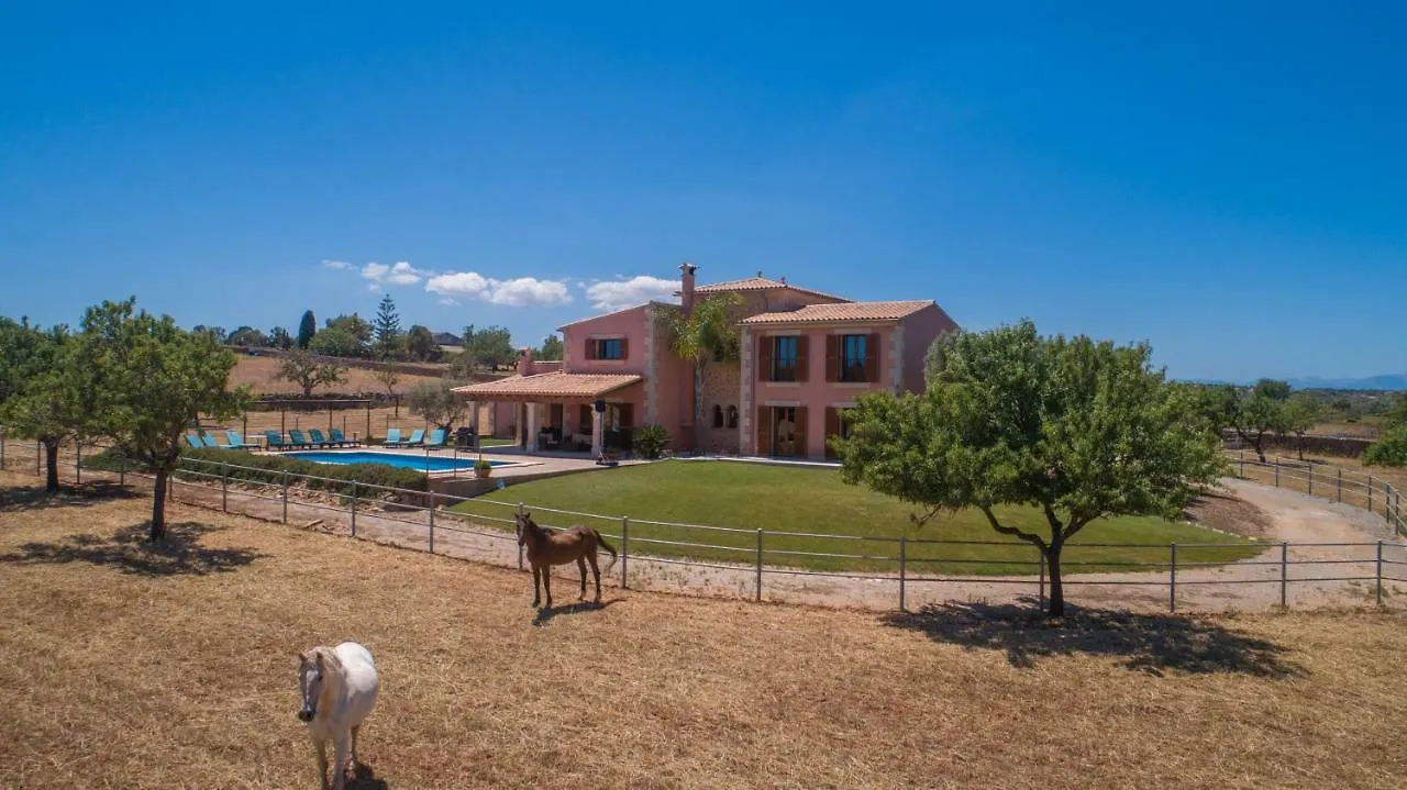 Manacor-289865 Villa